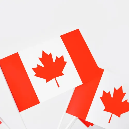 Can a Permanent Resident Be Stripped of Status and Removed?